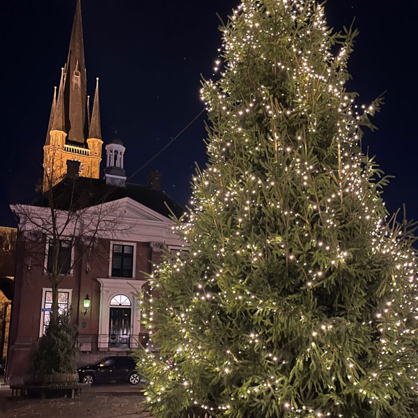 kerstboom en sint martinuskerk
