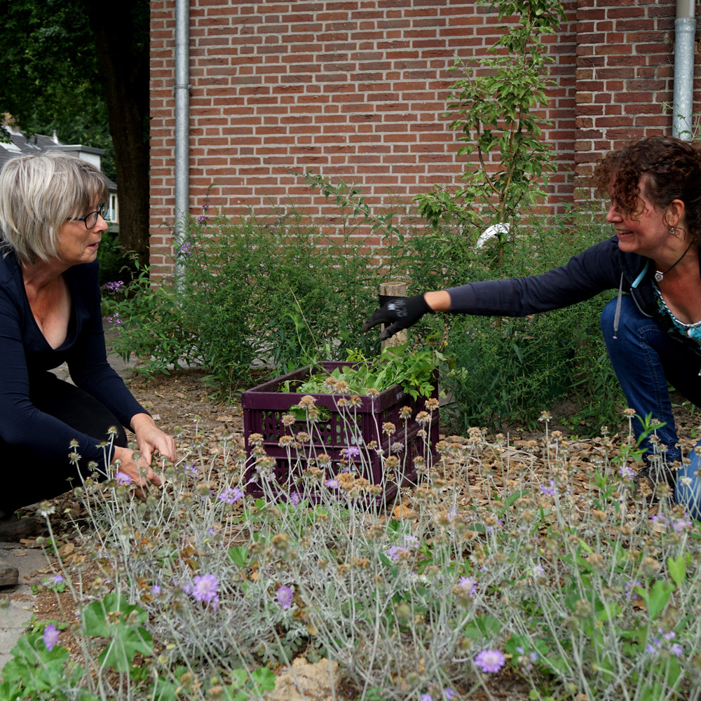 Twee vrijwilligers zitten bij paarse bloemen 
