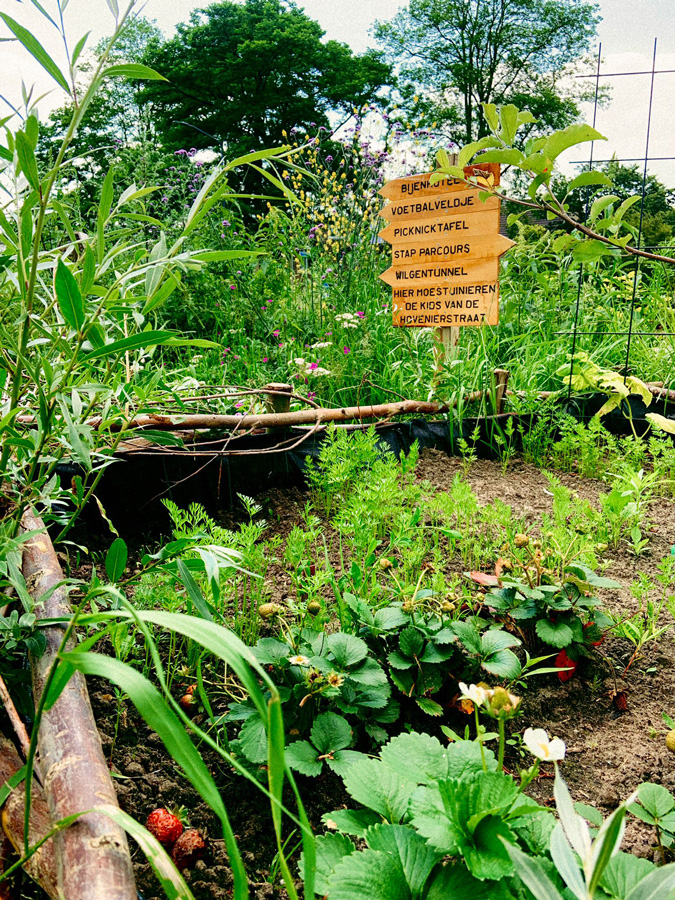 Moestuin met bord "Hier moestuinieren de kids van de hovenierstraat