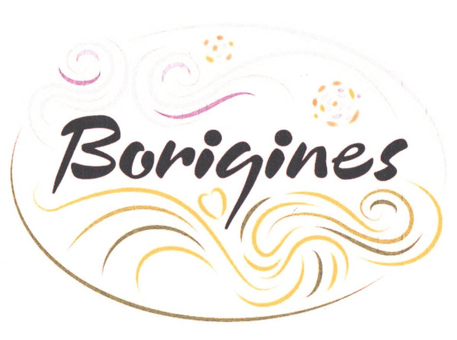 Vincent in de Borinage