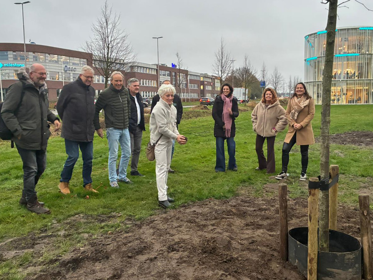 Groep personen bij het planten van de 3 linden: Marian pakt met haar handen vol zand