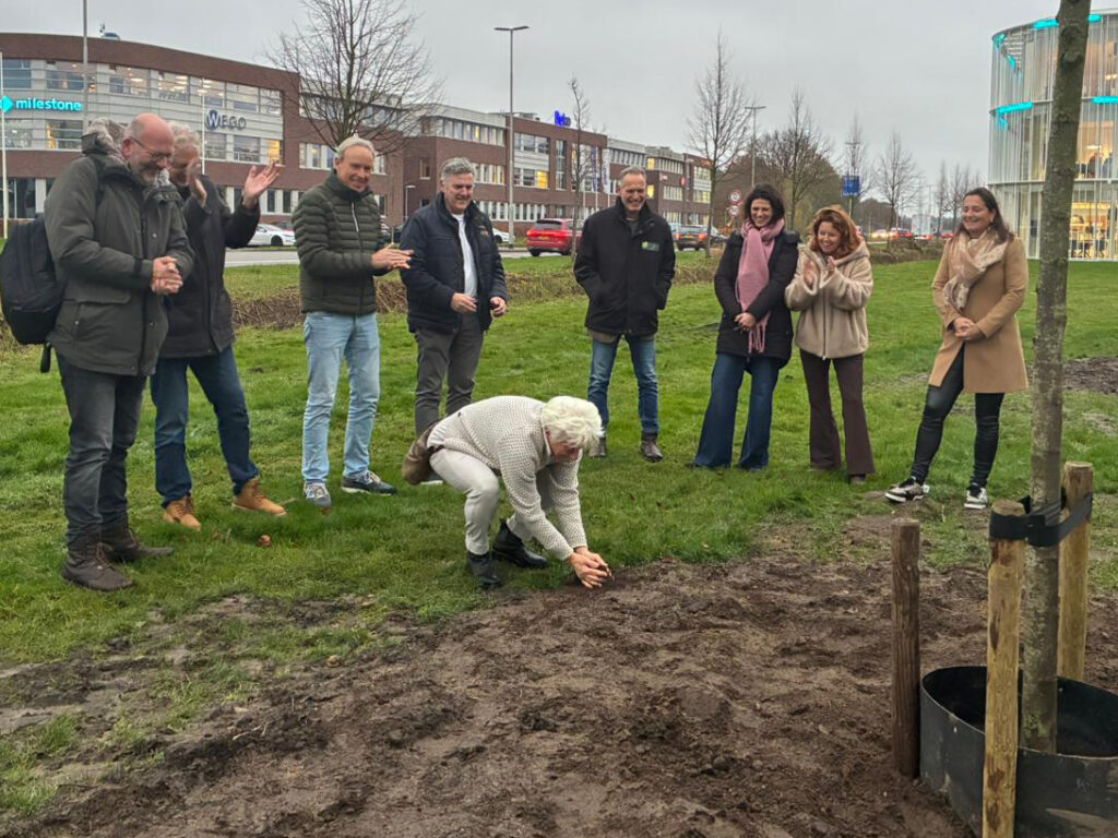 het planten van de 3 linden: Marian pakt met haar handen het zand op