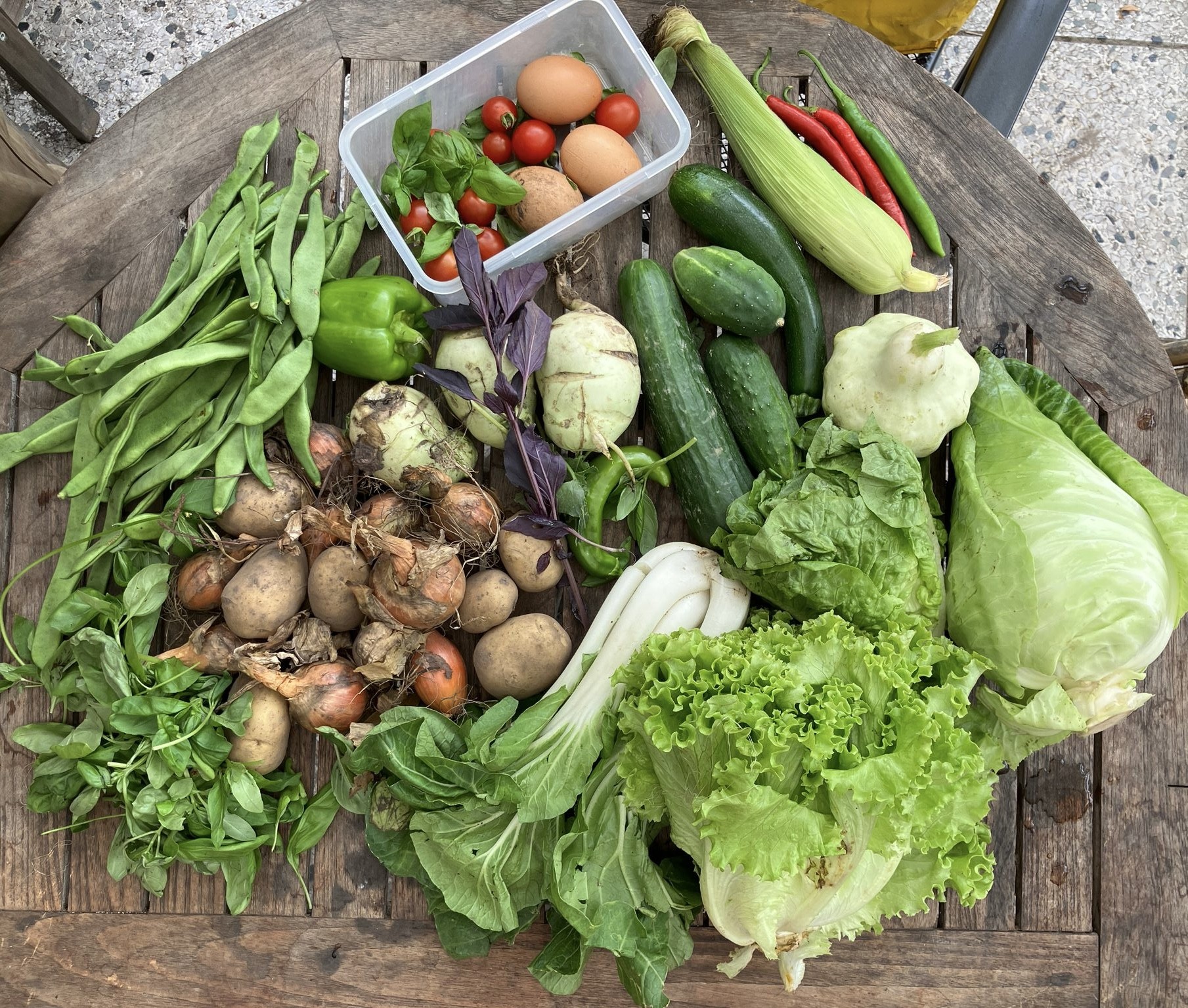 Foto Herenboerderij op 't Lies