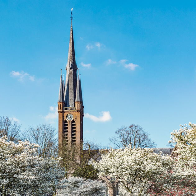 St Martinuskerk in Princenhage met bomen vol witte bloesem