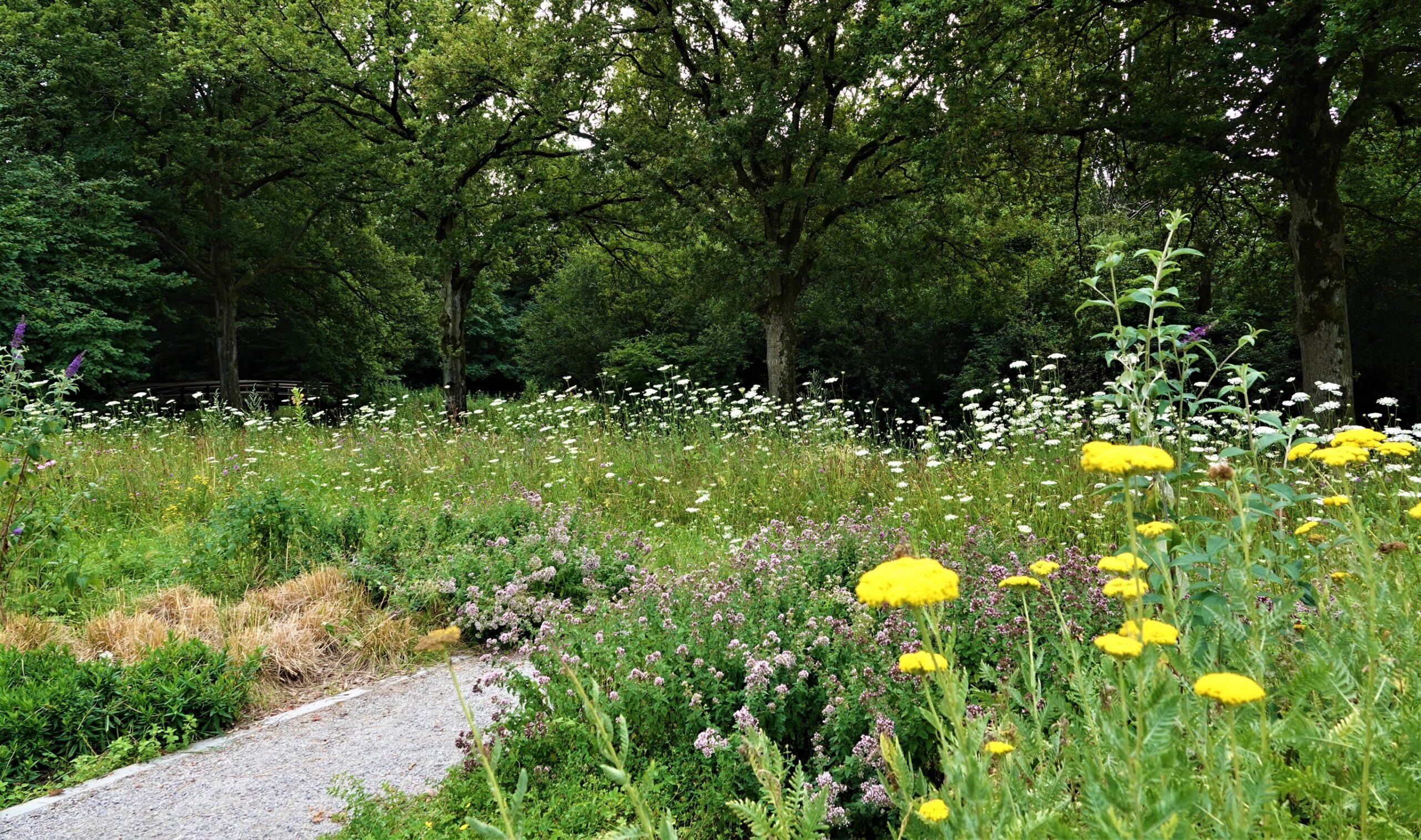 Foto Wandeling Plukroute Princenhage