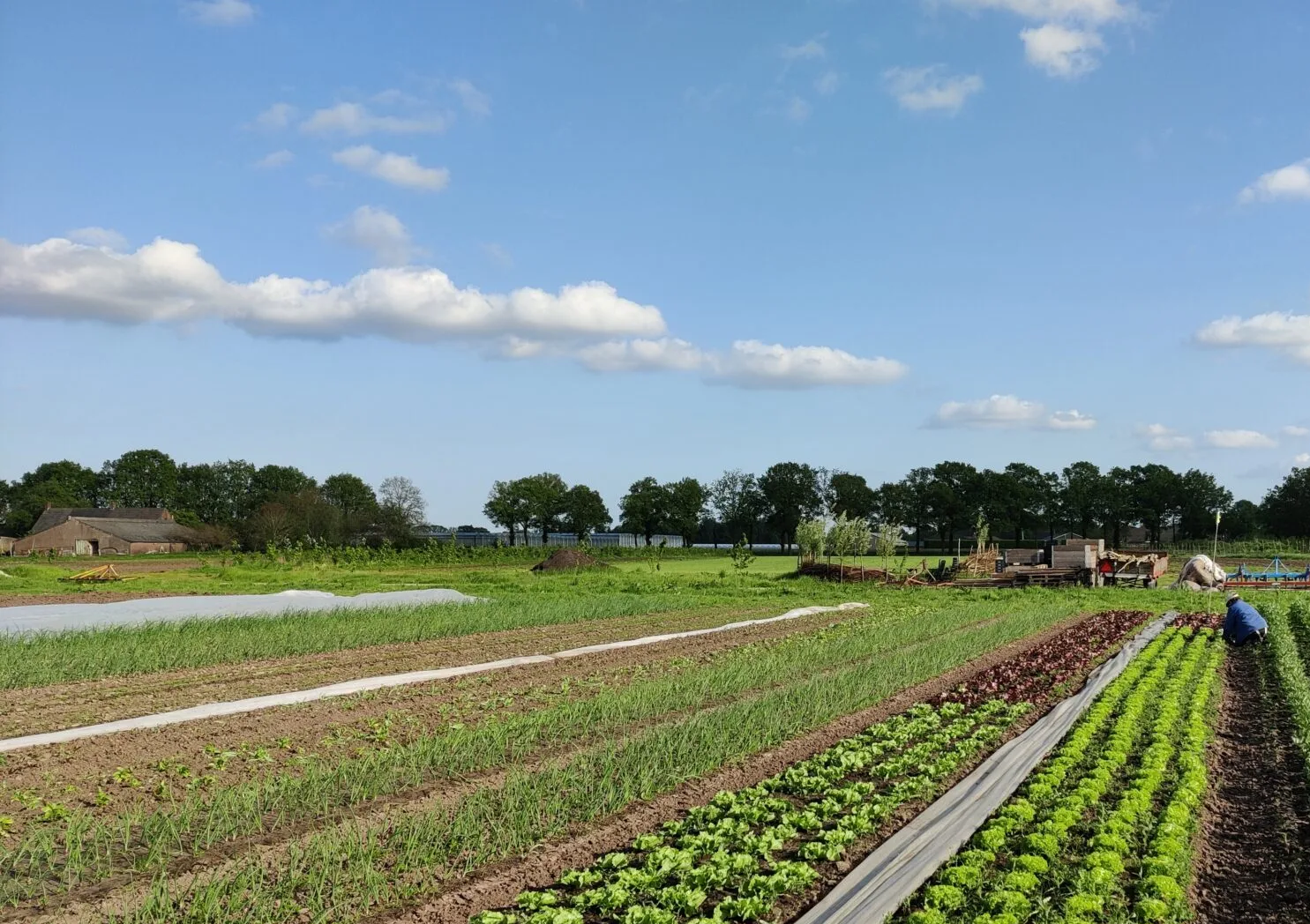 Foto Herenboerderij